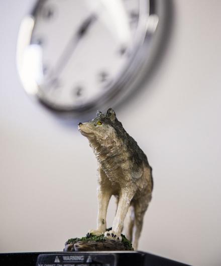 Small wolf figurine at the Graywolf office